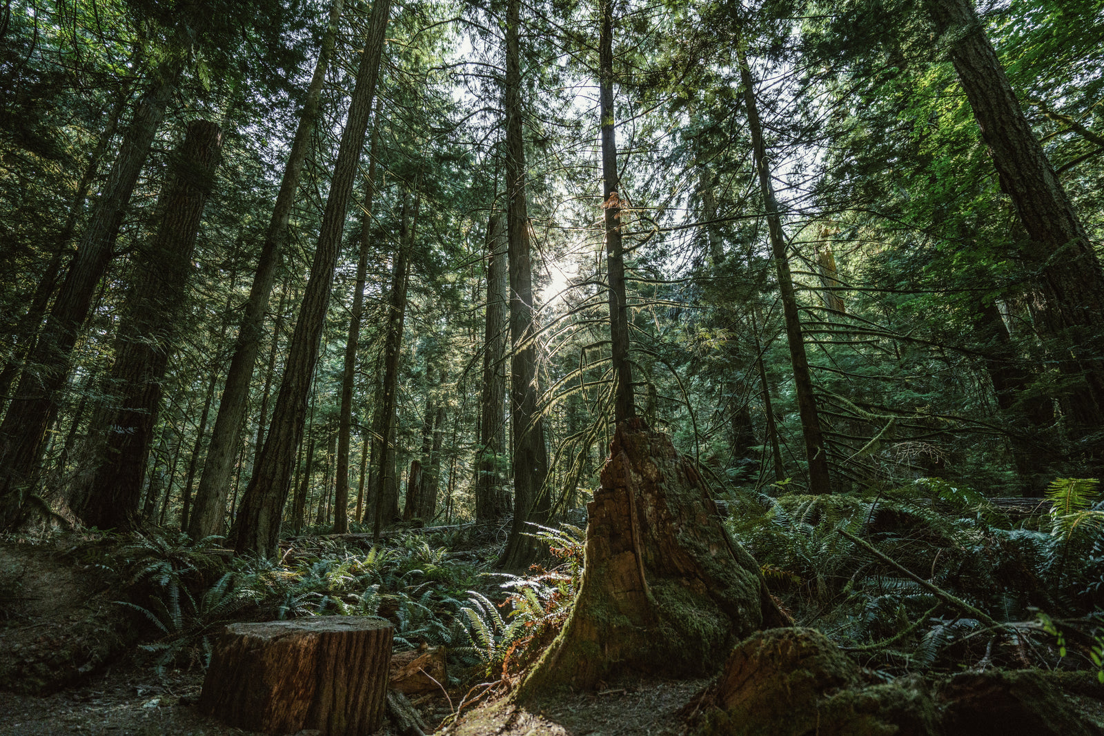 The Calm You've Been Looking For. Found.