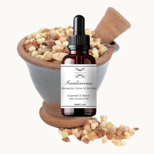 Frankincense Serrata and Carteri, Boswellia Carteri Essential Oil