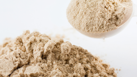 Boswellia Extract